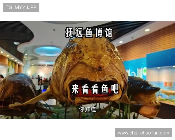 博鱼综合多元化娱乐内容丰富满足不同玩家的多样需求